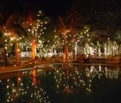 wedding planner in delhi ncr